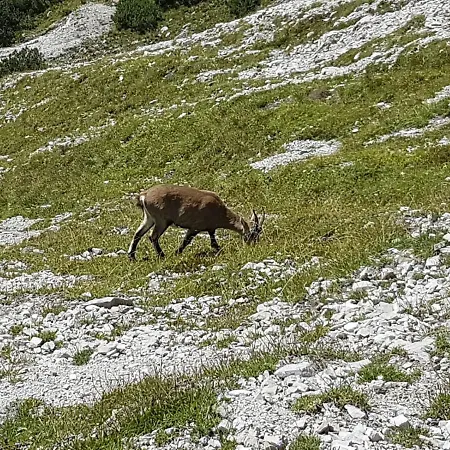 Il Caminetto